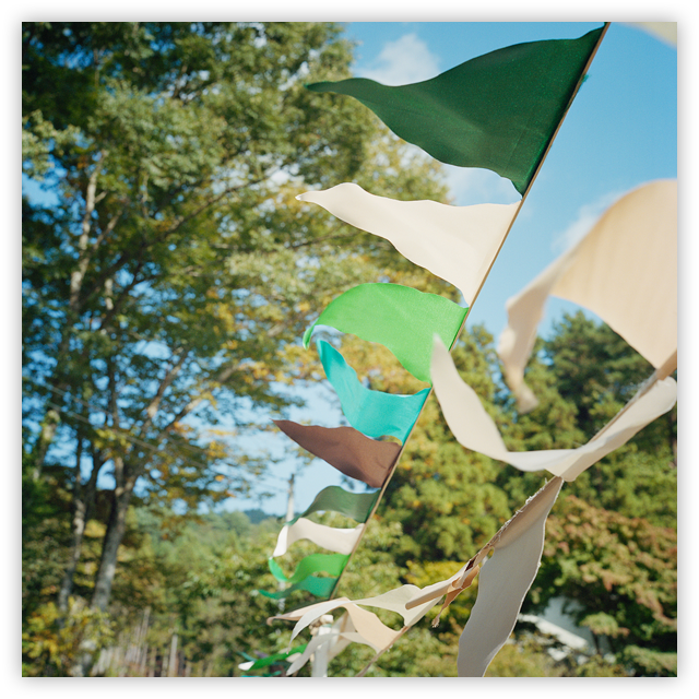 Flags